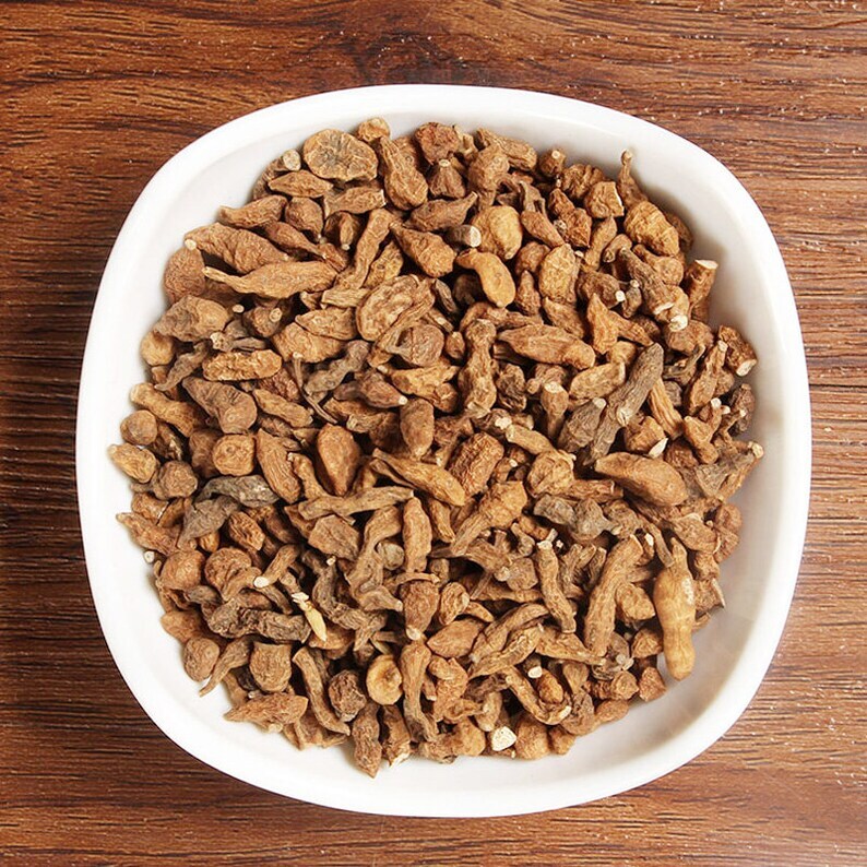Recommend Dried Root of Silverweed Cinquefoil Premium Potentilla Anserina