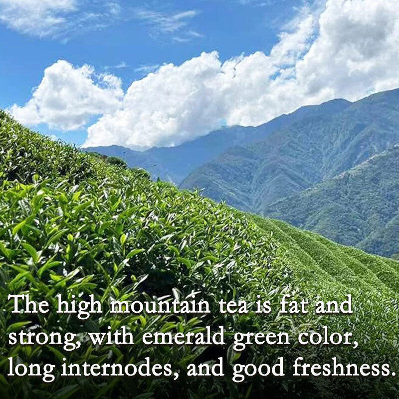 Taiwan Oolong Tea Organic Jin Xuan Milk Oolong Taiwanese Oolong Tea Green tea