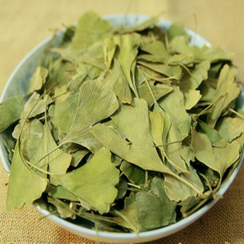 500g Pure Natural Anti-aging Green Herbal Tea Dried Ginkgo Biloba Leaf Tea