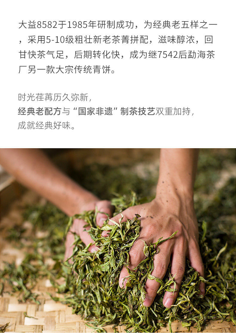 2008 Menghai Tea Factory 8582 TAETEA Dayi Raw Pu-erh Tea Cake 357g