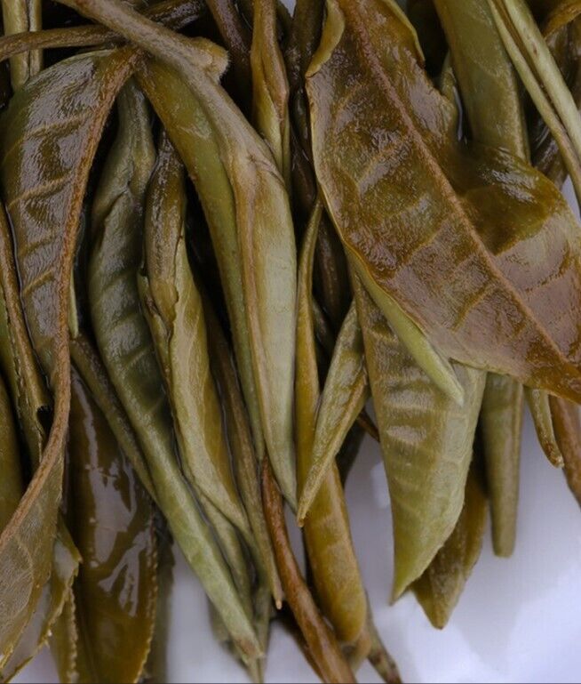 500 grams of white tea, Yunnan Yiwu people show white tea, brick tea, plum-guarding wildlife-