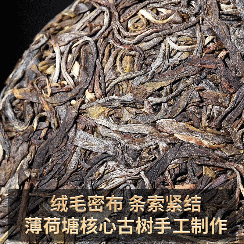 357g Yunnan Yiwu Ancient Tree 2023 Spring Tea Bohetang Pu'er Tea Raw Tea Cake