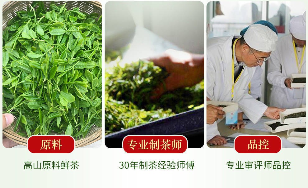 100g 2025 New Tea High Mountain Cloud Green Tea Spring Tea Maojian Tea