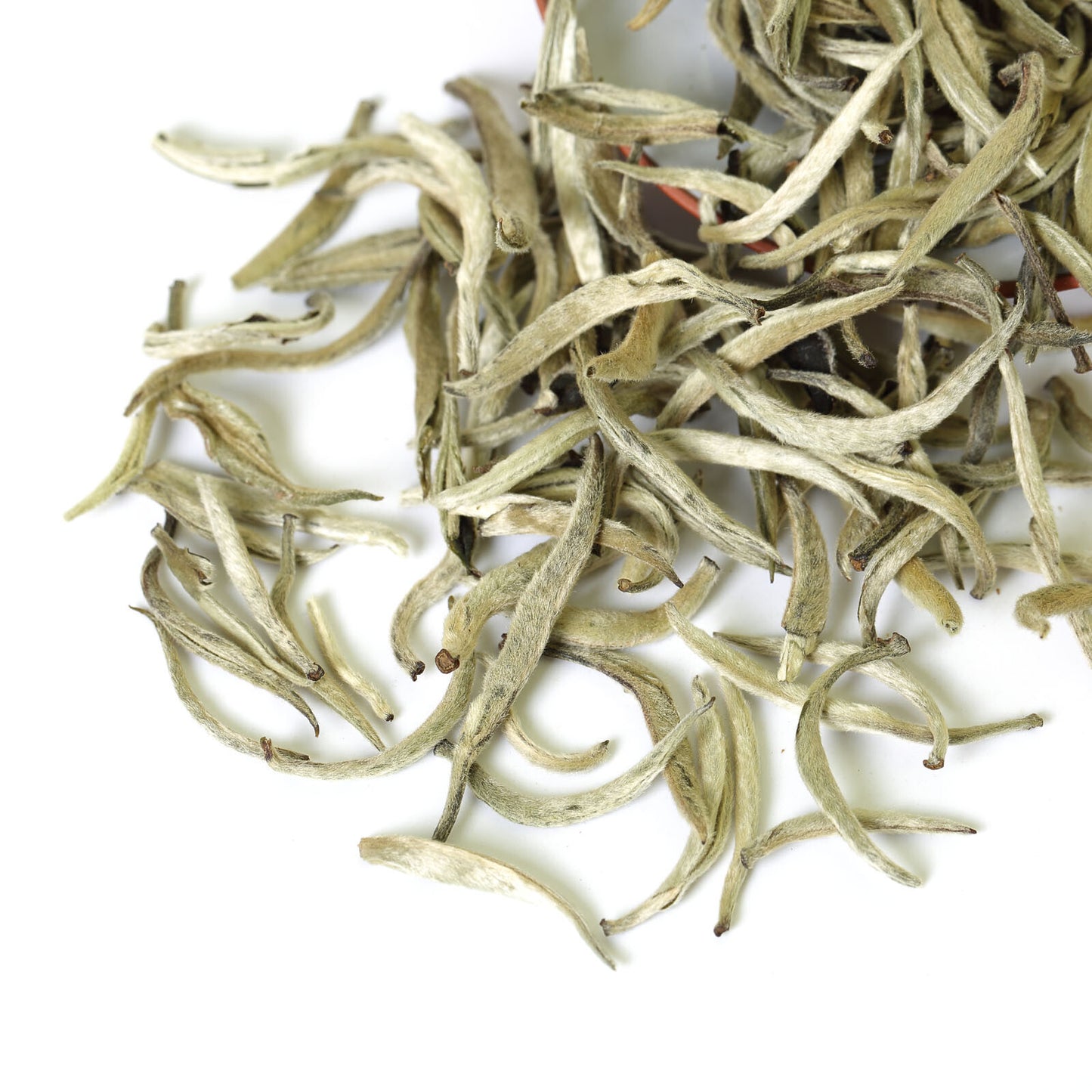 GOARTEA Premium Silver Needle White Tea White Bai Hao Yin zhen White Tea Buds-