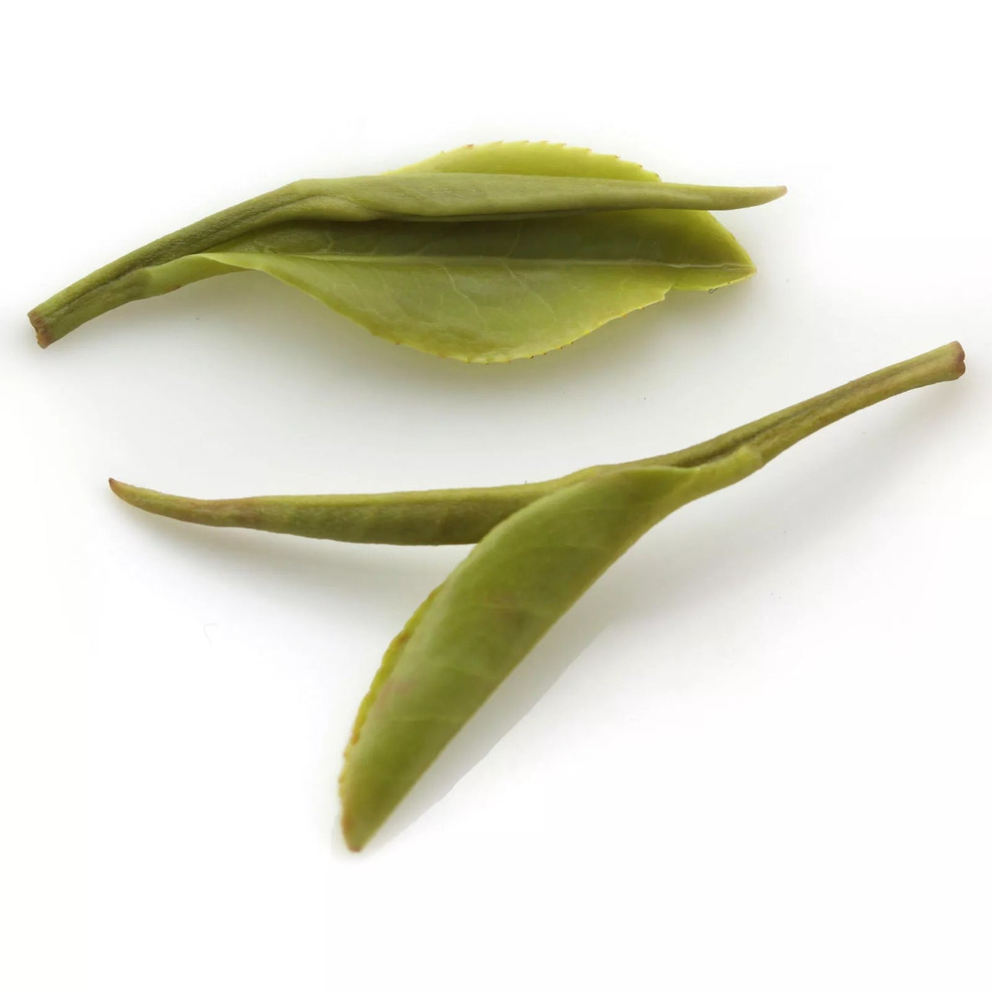 Supreme Huangshan Maofeng GREEN TEA Chinese Yellow Mountain Mao Feng