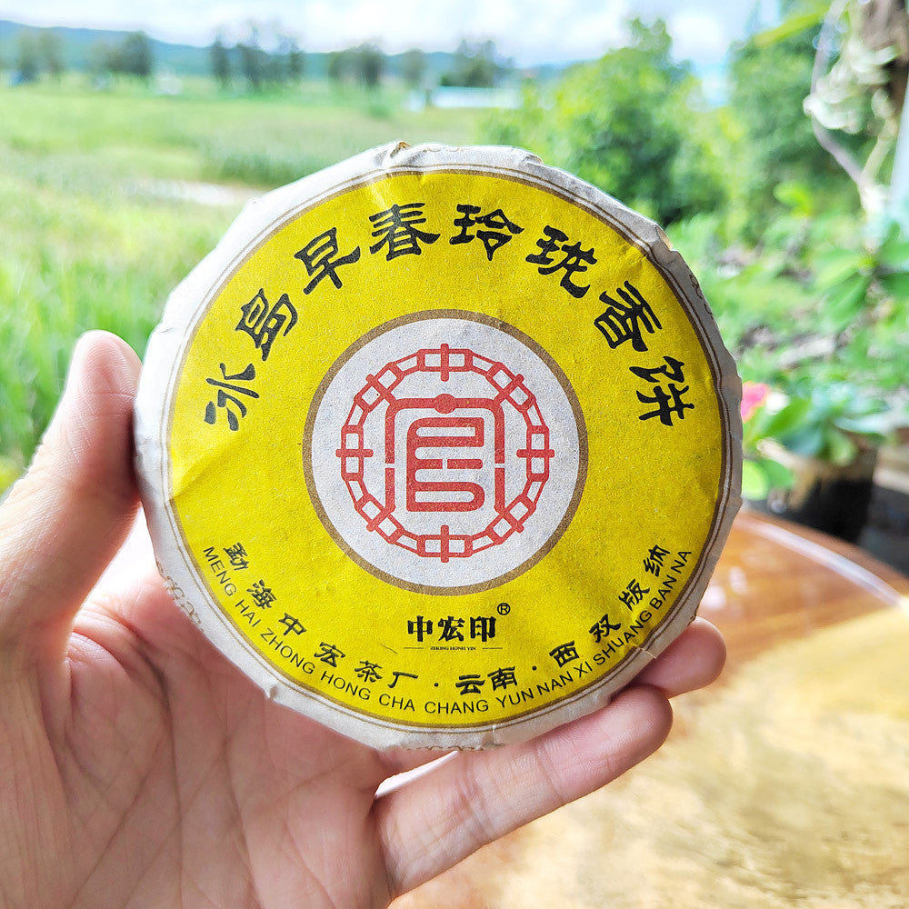100g Yunnan Pu-erh Tea Cake Raw Puer Tea Organic Chinese Black Tea Healthy Drink