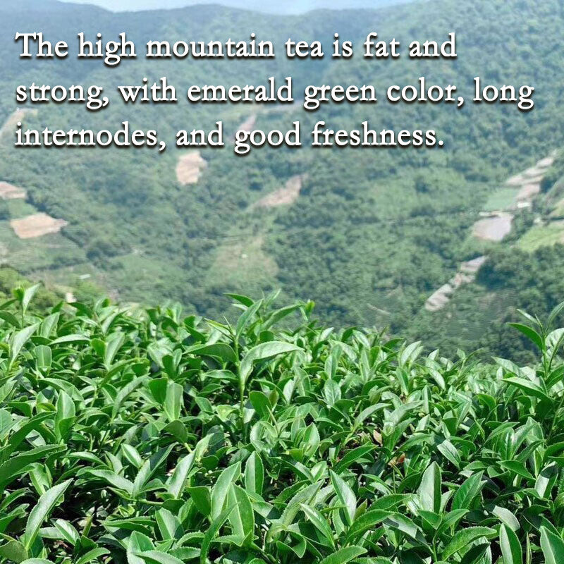 Milk Oolong Chinese Green Leaf Tea 250g green tea organic loose leaf tea