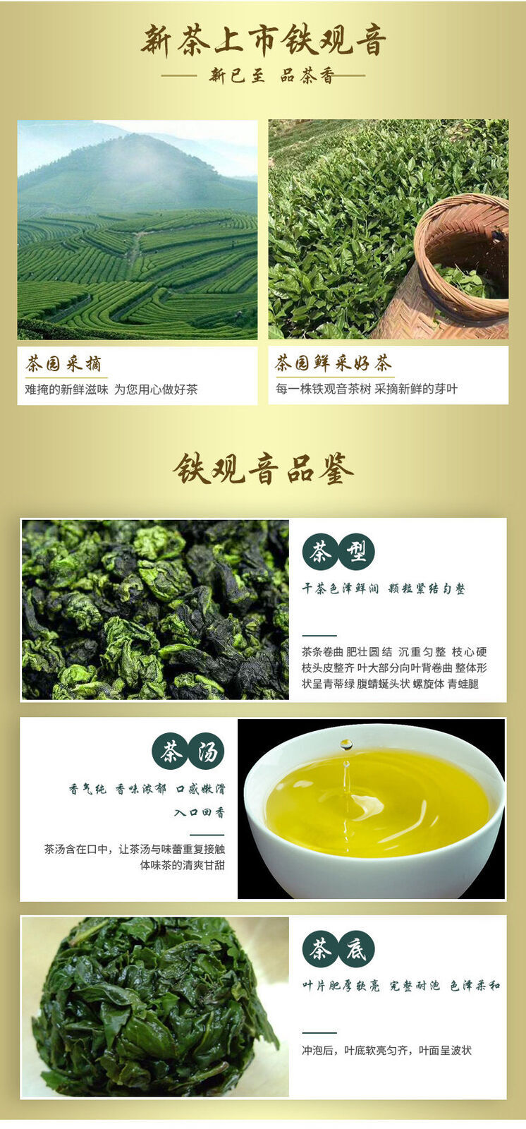 Genuine Tieguanyin Tea Fujian Anxi Oolong Tea New Tea Vacuum Packaging