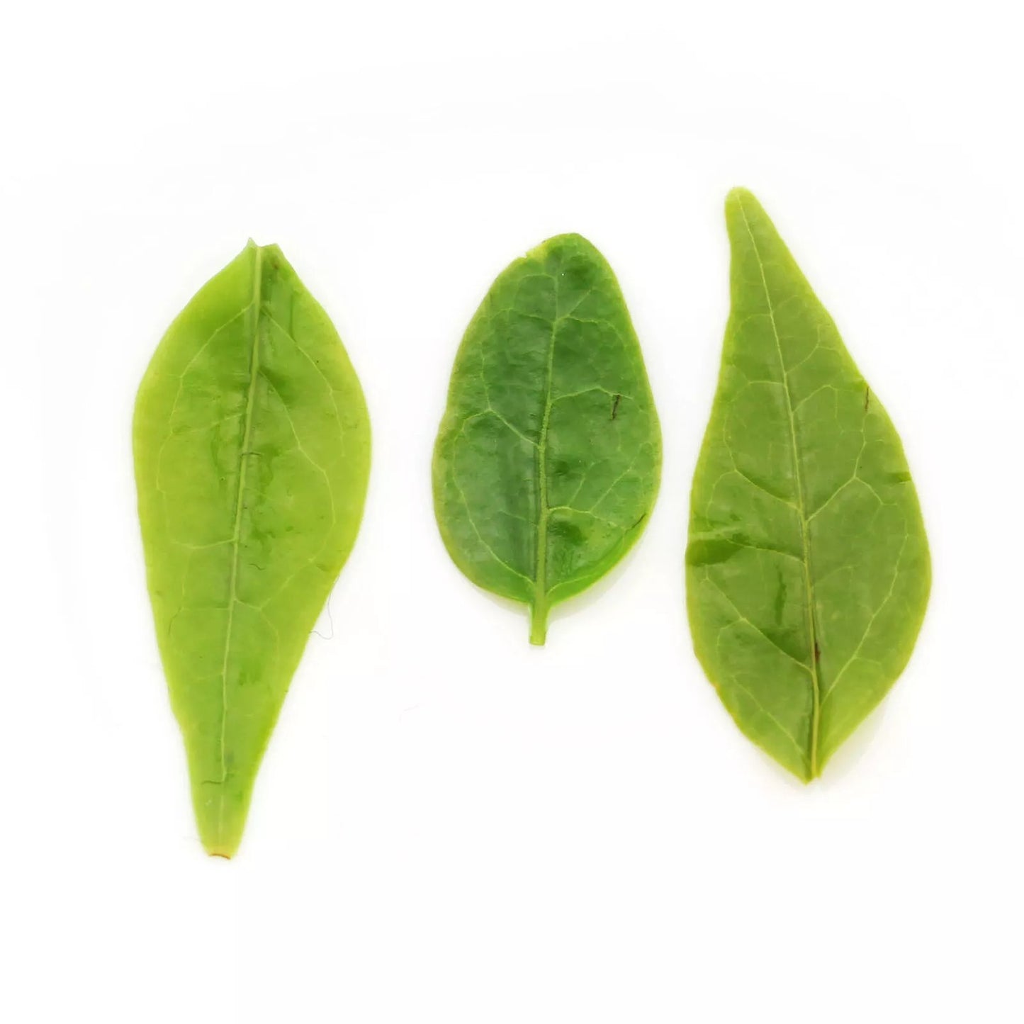 Supreme Kuding Bitter Herbal Green Tea Qingshan Lushui Loose Small-leaf