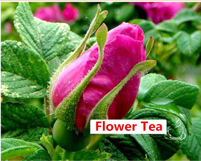 50g Fragrant Flower Tea Rose Bud Health Care The Products Fragrance Dried Rose
