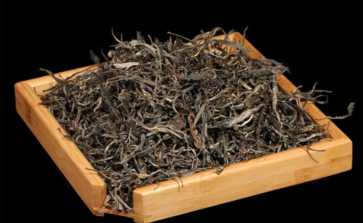 Yunnan Old Ban Zhang Gushu Pu'er Tea Chunsheng Pu'er Tea Uncooked Pu'er Tea-