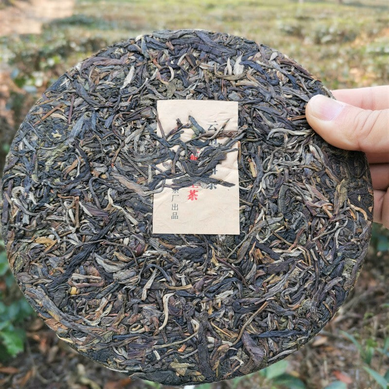 357g Yiwu Pu'er Tea Early Spring Arbor Cha Tea Weight Loss Healthy Drink Tea