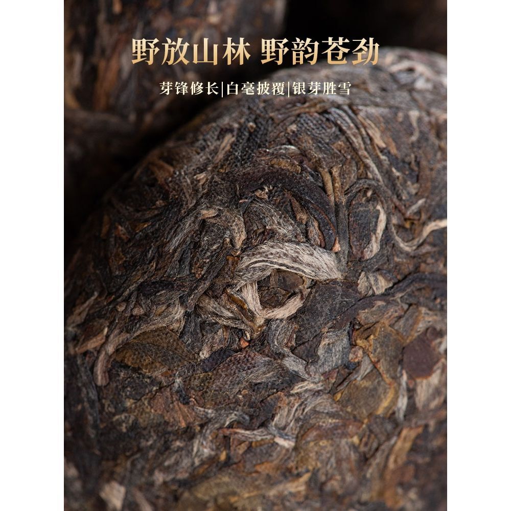 Menghai Qingtuo Puerh Tea Raw Tea Golden Bud Tuo Tea Yunnan Ancient Tree Tea