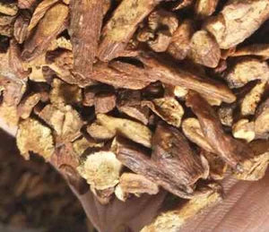 500g/17.6 Oz Dandelion Root Tea,Dandelion Buds Flower Tea,chinese Flower Tea