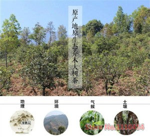 250g Ripe PuEr Tea High quality Yunnan Pu'er Puerh Tea Puer Tea Puer Pu'er Tea